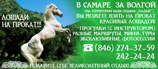 прокат лошадей в Самаре, аренда лошадей, прогулки верхом